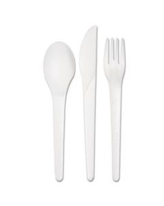 ECOEPS015 PLANTWARE RENEWABLE & COMPOSTABLE CUTLERY KIT - 6", 250/CT