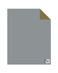 GEO24316 TWO COOL POSTER BOARD, 22 X 28, GOLD/SILVER, 25 PER PACK