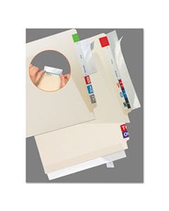 TAB68387 SELF-ADHESIVE LABEL/FILE FOLDER PROTECTOR, STRIP, 2 X 11, CLEAR, 100/PACK