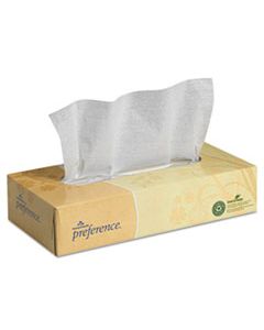 GPC48100 FACIAL TISSUE, 2-PLY, WHITE, FLAT BOX, 100 SHEETS/BOX, 30 BOXES/CARTON