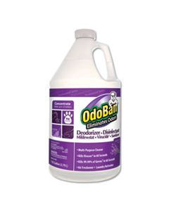 ODO911162G4 CONCENTRATE ODOR ELIMINATOR AND DISINFECTANT, LAVENDER SCENT, 1 GAL BOTTLE, 4/CARTON