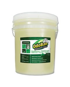 ODO9110625G CONCENTRATED ODOR ELIMINATOR AND DISINFECTANT, EUCALYPTUS, 5 GAL PAIL