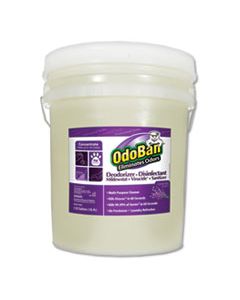 ODO9111625G CONCENTRATED ODOR ELIMINATOR AND DISINFECTANT, LAVENDER SCENT, 5 GAL PAIL