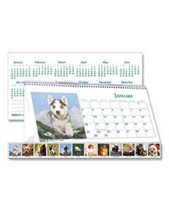 HOD3659 RECYCLED PUPPY PHOTOS DESK TENT MONTHLY CALENDAR, 8.5 X 4.5, 2024