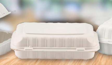 Eco-Friendly Dining with Kari-Out TerraSmart Food Containers