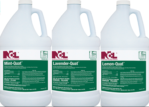 Stay Healthy This Flu Season by Disinfecting